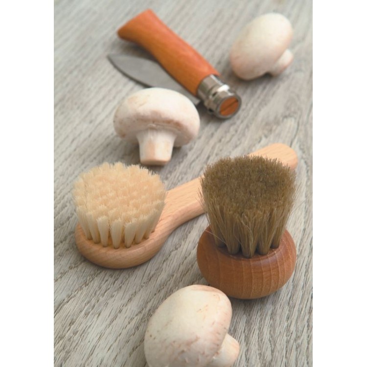 Brosse à Champignons