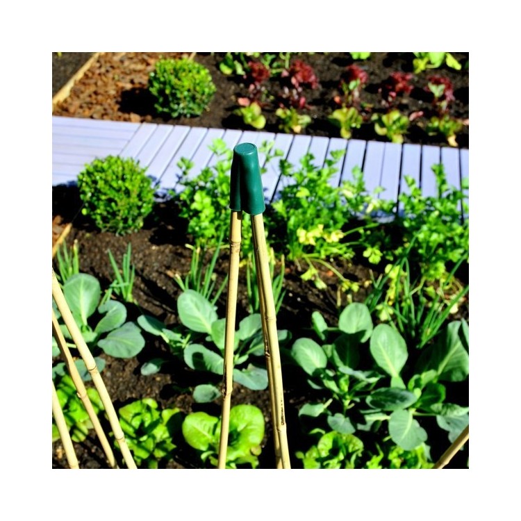 Embout Capuchon 3 Bambous