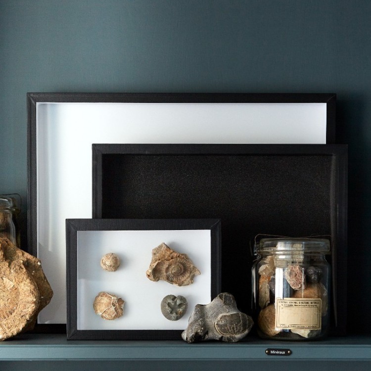 Boite Entomolgique Museum