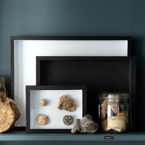 Boite Entomolgique Museum