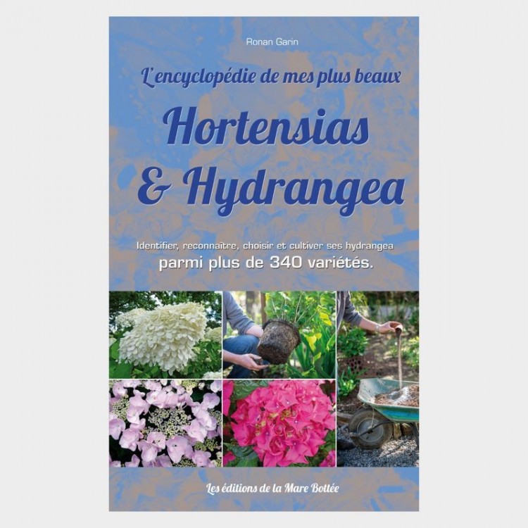 Hortensias & Hydrangea - Ronan Garin