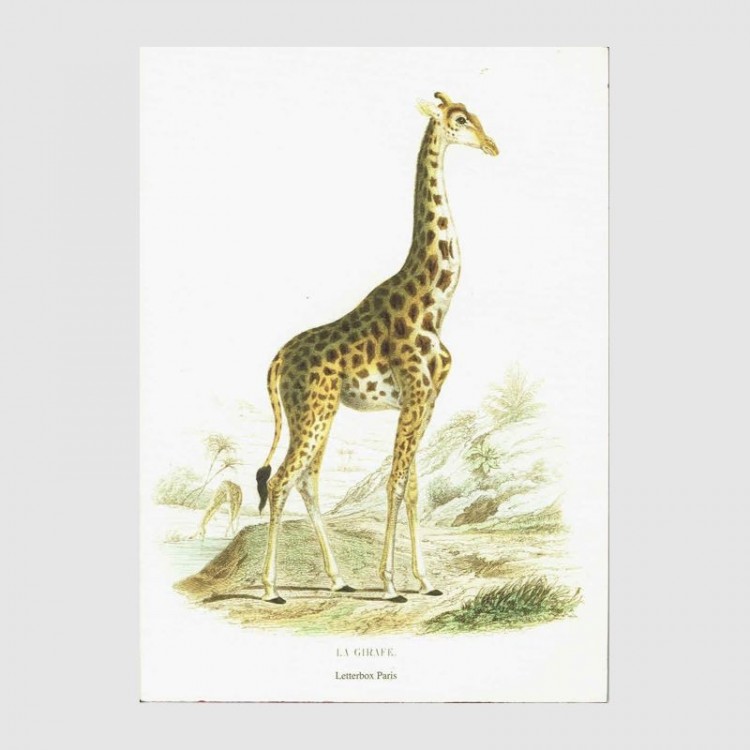 CahierLa Girafe