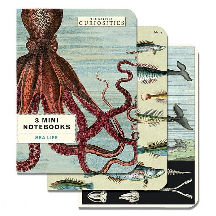 Mini Notebooks Vie Sous Marine Cavallini