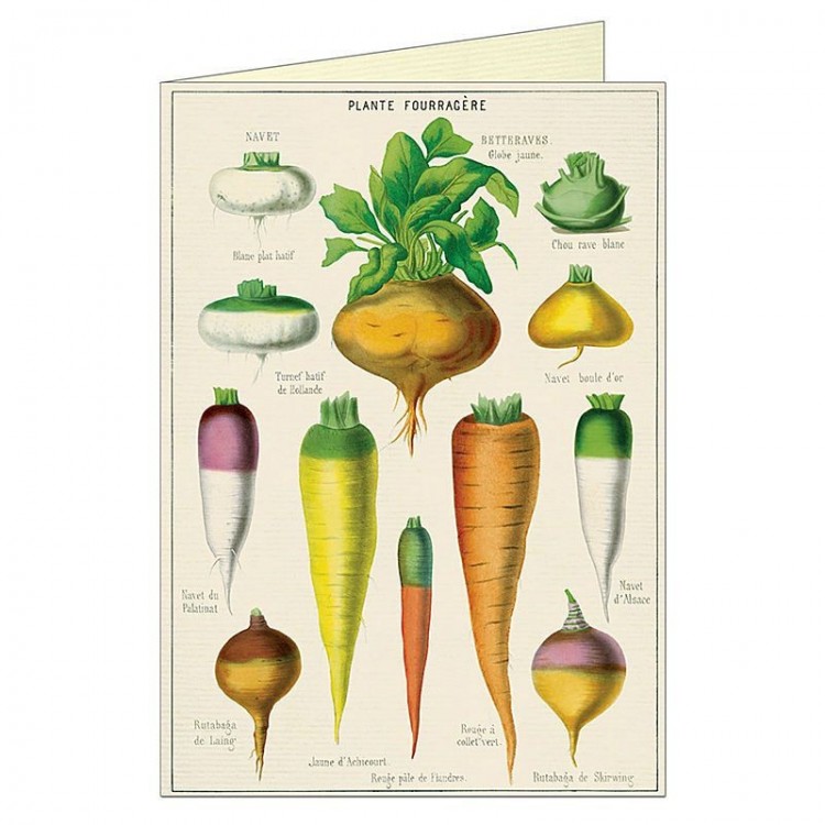 Carte Double avec Enveloppe Légumes