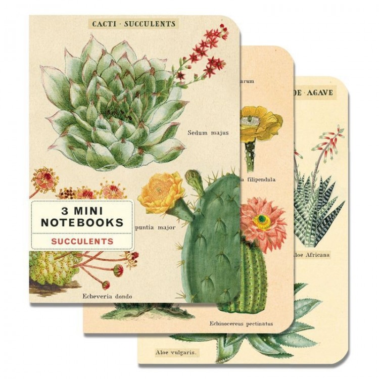 Mini Carnets Cactus et Succulentes Cavallini