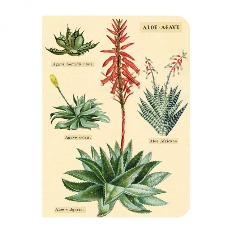 Mini Notebooks 'Faune & Flore' Mini Notebooks 'Faune & Flore'