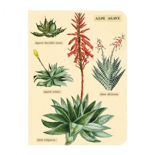 Mini Notebooks 'Faune & Flore' Mini Notebooks 'Faune & Flore'