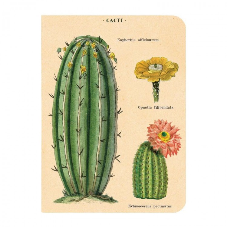 Mini Notebooks 'Faune & Flore' Mini Notebooks 'Faune & Flore'