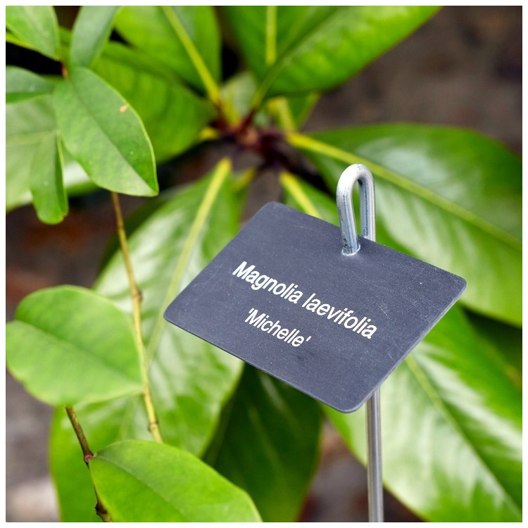 Etiquette & Support 'Thouin' zinc noir