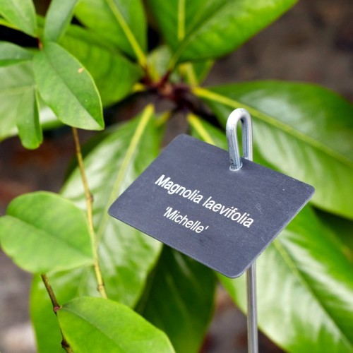 Etiquette & Support 'Thouin' zinc noir