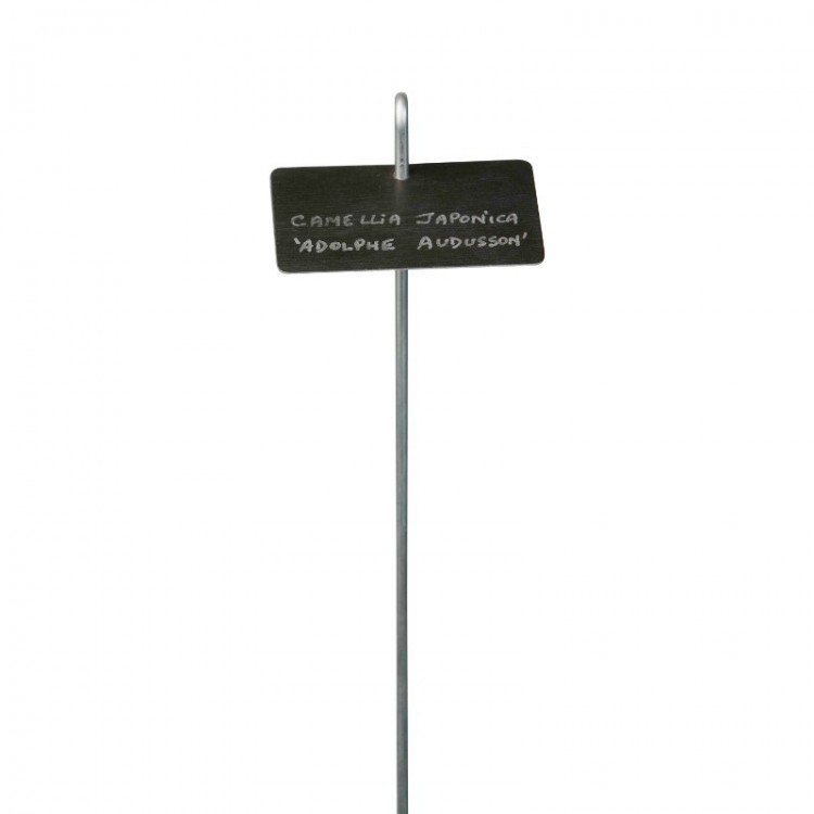 Etiquette & Support 'Thouin' zinc noir