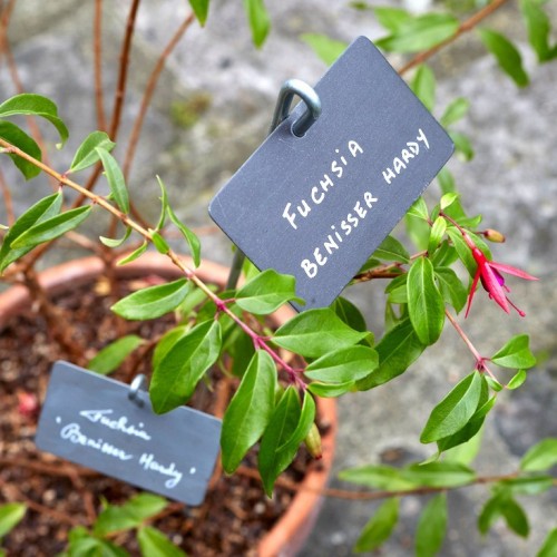 Etiquette & Support 'Thouin' zinc noir