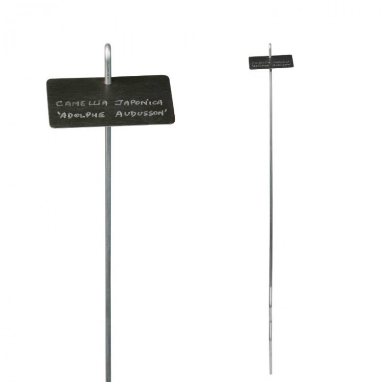 Etiquette & Support 'Thouin' zinc noir