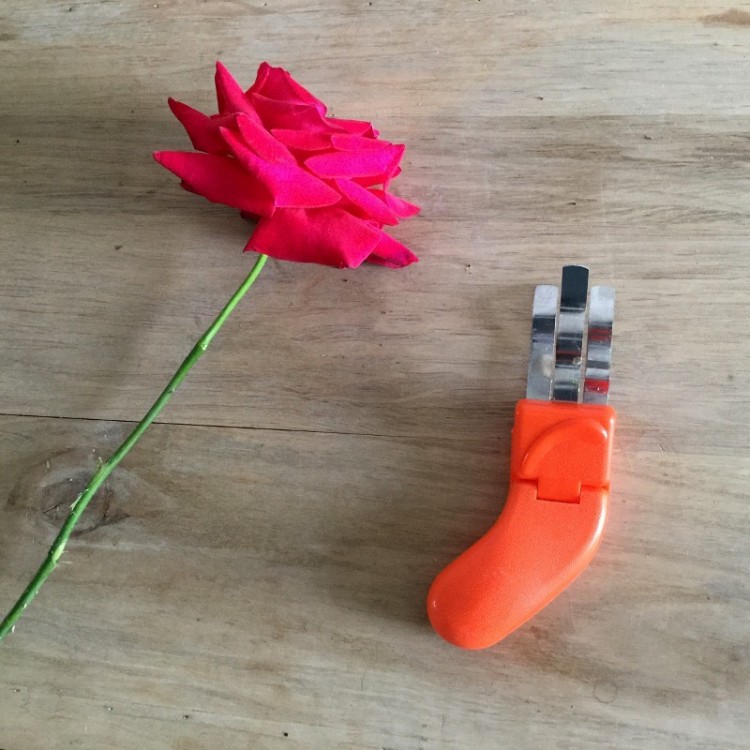 Désépinoir à charnière