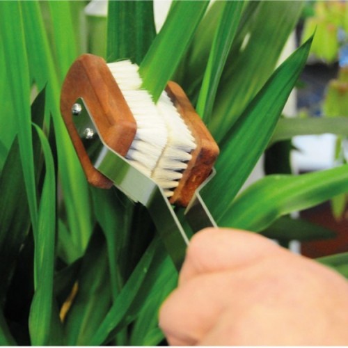 Brosse à Plantes Vertes