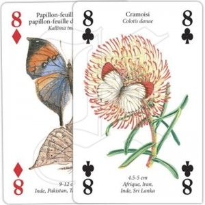 Jeux de Cartes Papillons 2