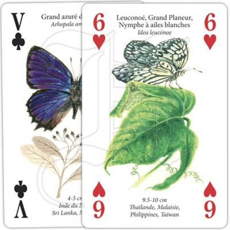 Jeux de Cartes Papillons Jeux de Cartes Papillons