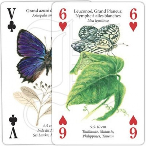 Jeux de Cartes Papillons Jeux de Cartes Papillons