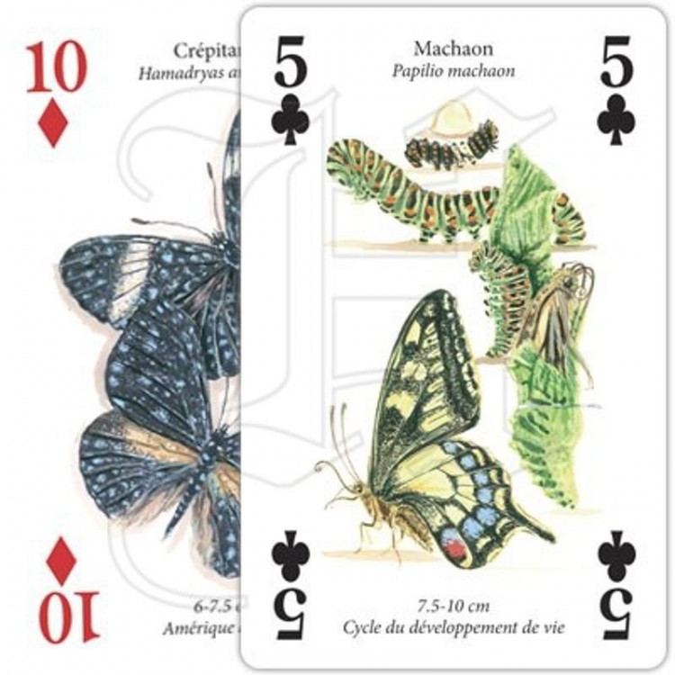 Jeux de Cartes Papillons Jeux de Cartes Papillons