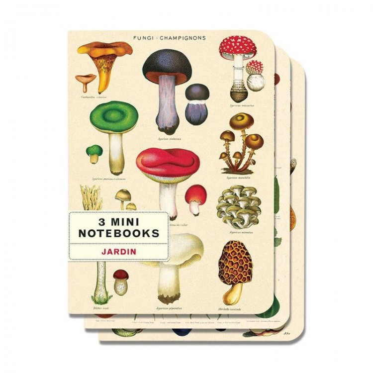 Mini Notebooks 'Faune & Flore'