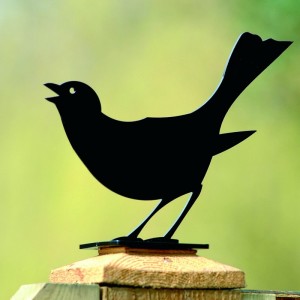 silhouette merle métal 2
