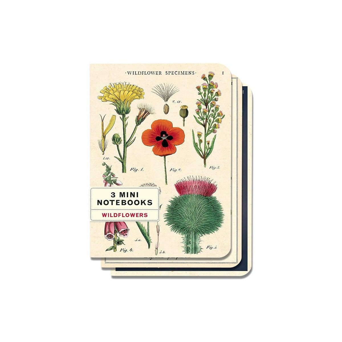 Carnet de notes écologique Floral rose création française Les Rêves de Caro