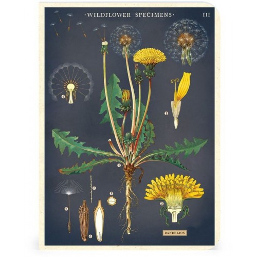 Carnets de Note Fleurs Sauvages