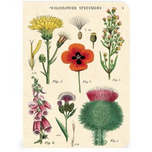 Mini Notebooks 'Faune & Flore' 2