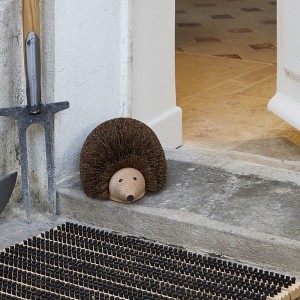 Brosse 'Hérisson' pour chaussures 2