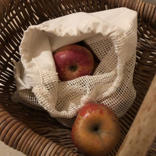 sac fruits et légumes coton bio réutilisable botanique éditions