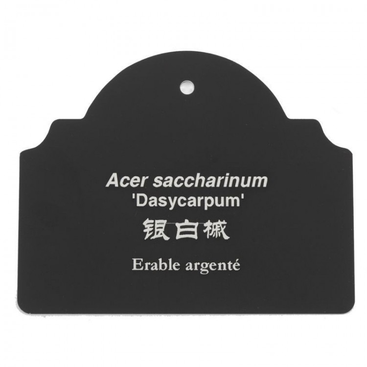 Etiquette Botanique Aluminium Anodisé...