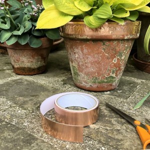 Ruban adhésif cuivre anti-limaces posé sur pot de jardin pour protéger les plantes 2
