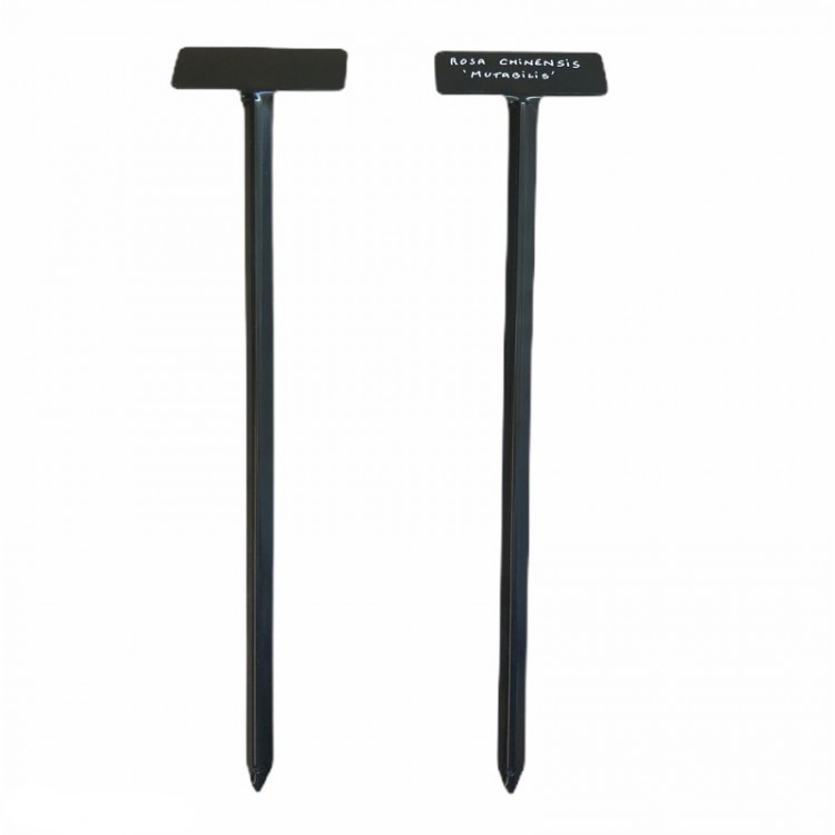 Etiquette sur Support Hortus Etiquette sur Support Hortus