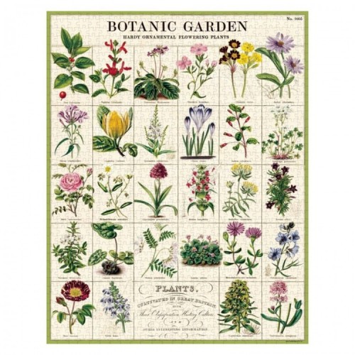 Affiche Planches Sciences Naturelles