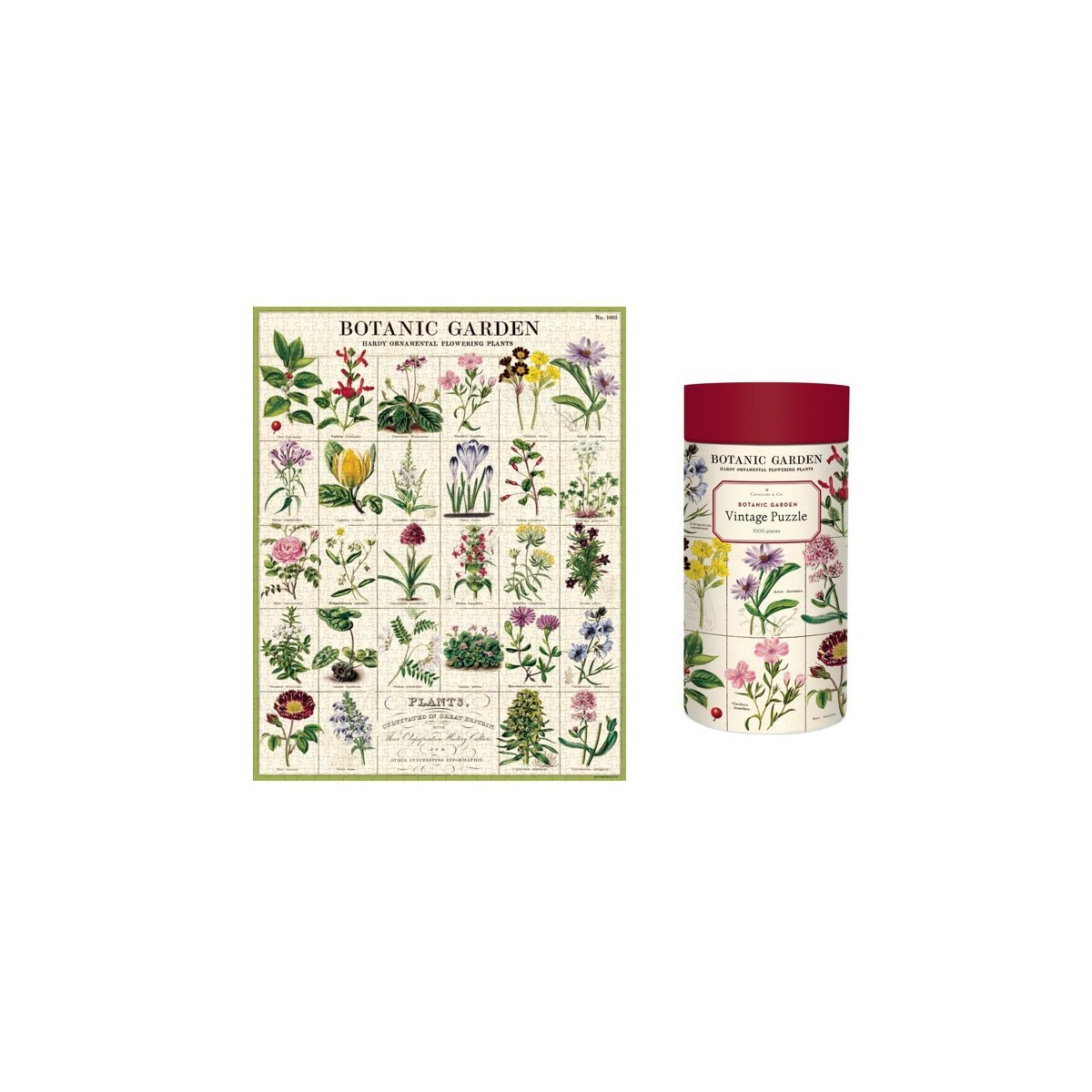 Puzzle vintage adulte enfant 1000 pièces - Arboretum - Cavallini