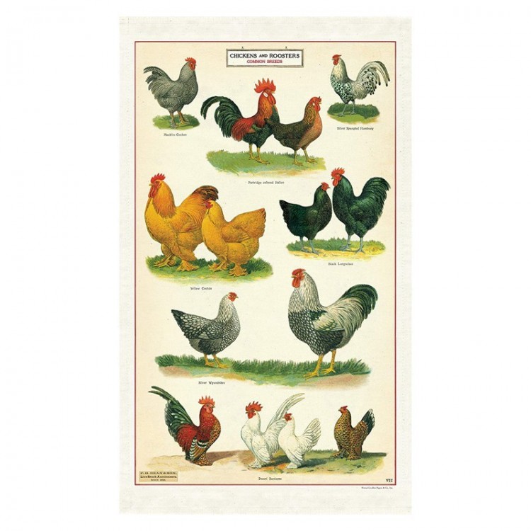 Torchon de Cuisine Poules & Coqs