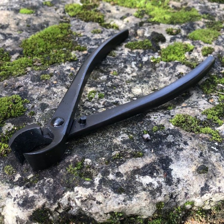 Etiquettes en Chêne Etiquettes en Chêne