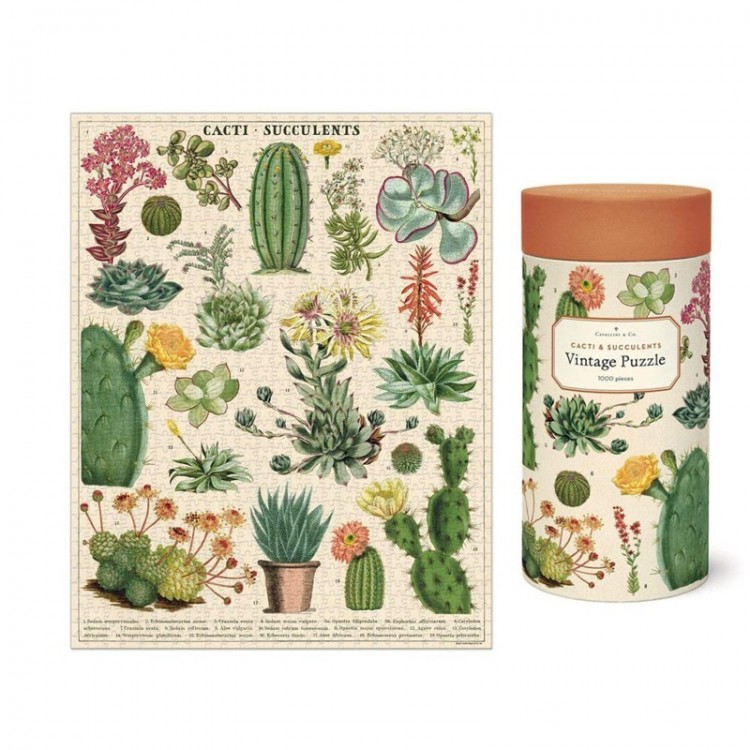 Puzzle Cactus et Succulentes / Cacti & Succulents