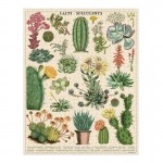 Puzzle Cactus et Succulentes Cavallini