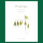 Prairies - Sandra Lefrançois