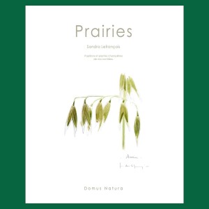Prairies - Sandra Lefrançois