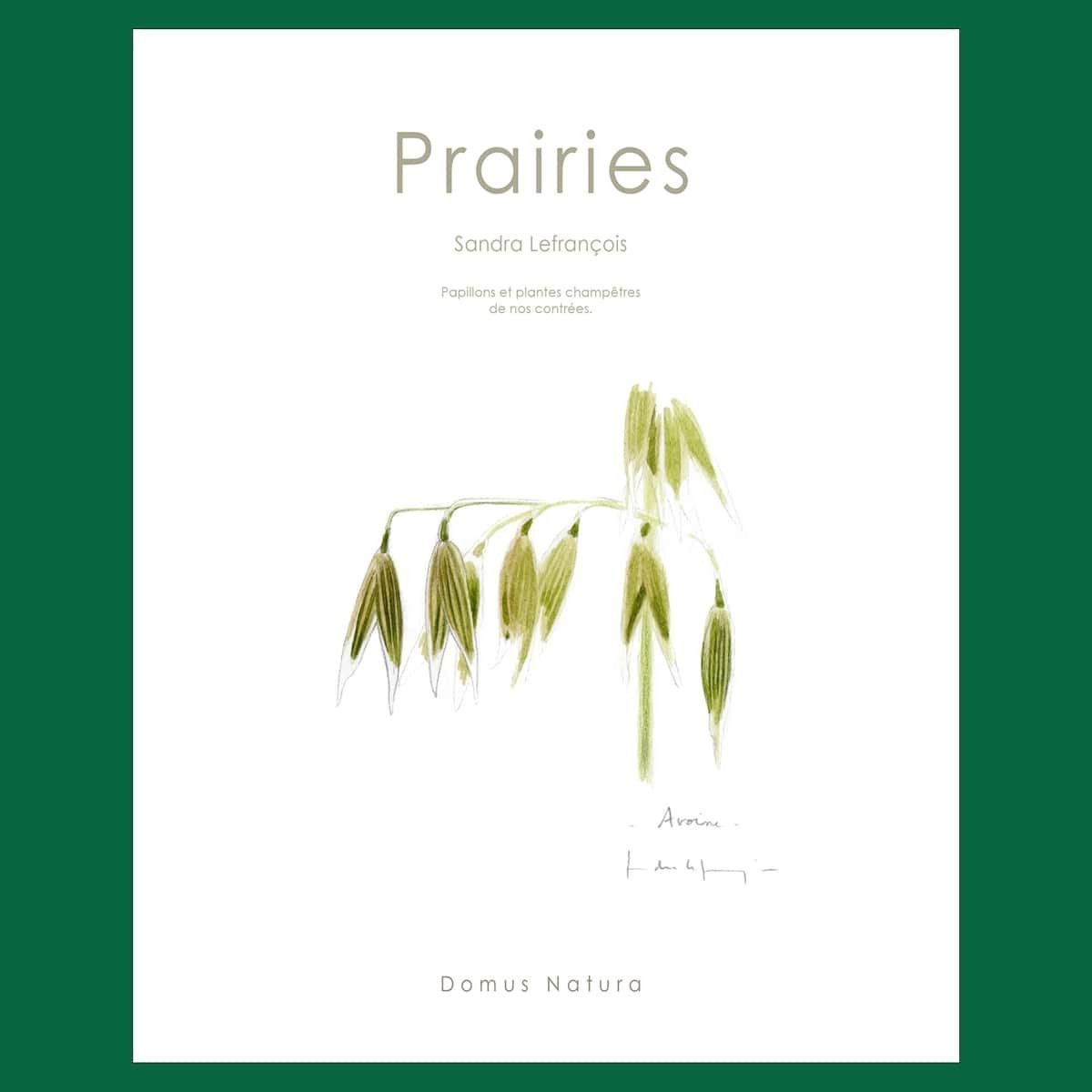 Prairies - Sandra Lefrançois - Illustrations et plances de dessins  naturalistes
