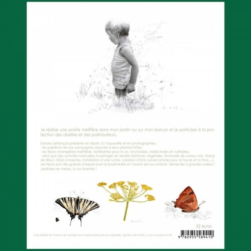 Hortensias & Hydrangea