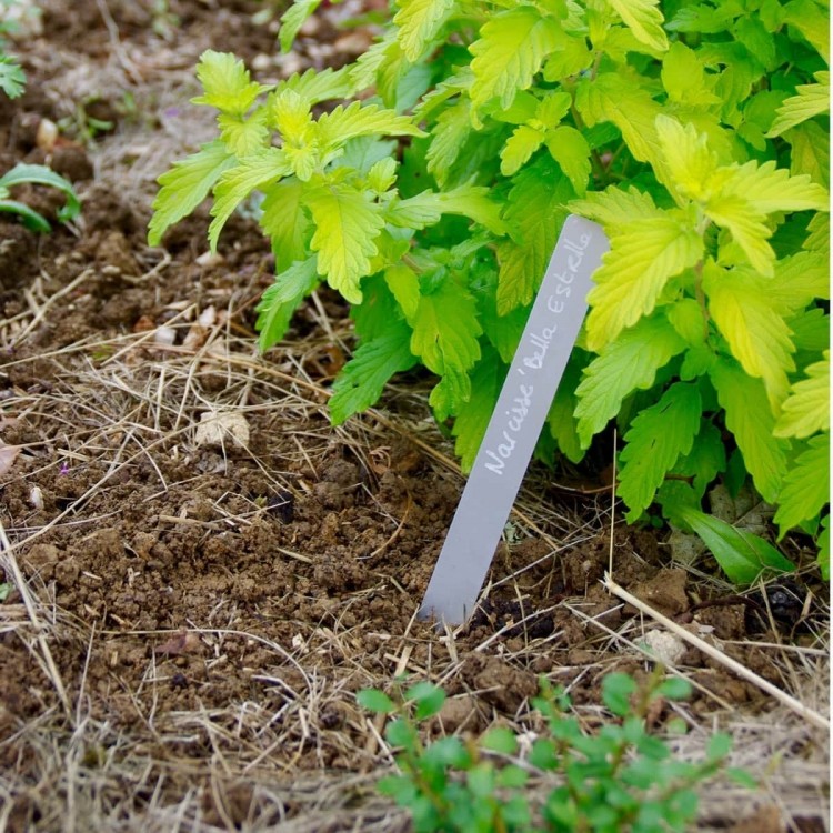 Etiquette en aluminium à piquer