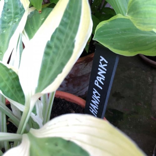 signet de jardin en ardoise