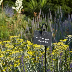 Etiquettes en ardoise, supports et feutre, étiquettes jardin