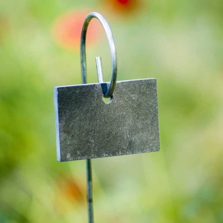 Etiquettes Ardoise 'Poppy'