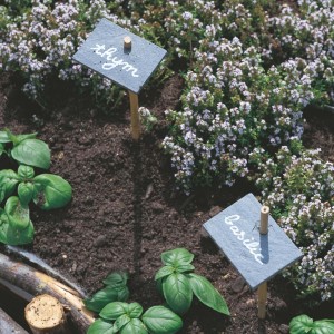 étiquette de jardin en ardoise 2