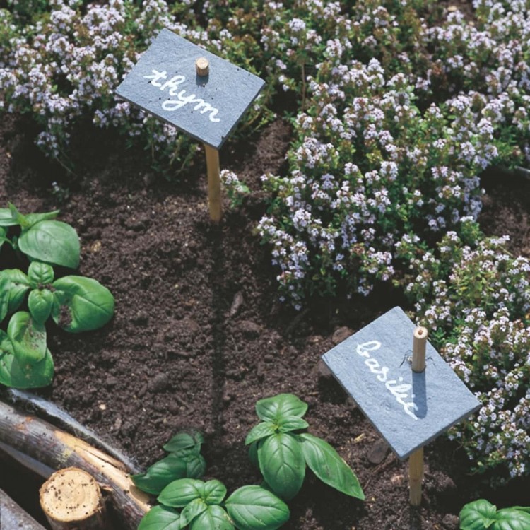 étiquette de jardin en ardoise
