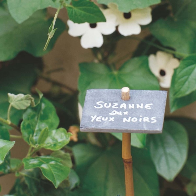 étiquette de jardin en ardoise